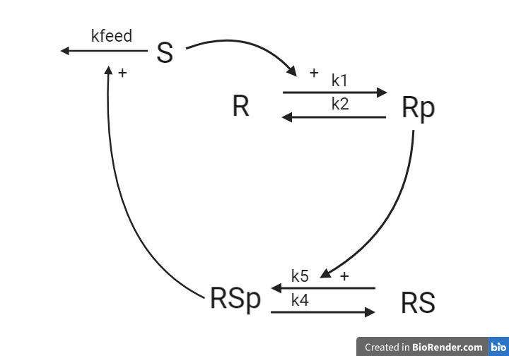 Equations from graph H2