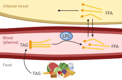 Figure1